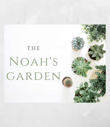 #14 - The Noah's Garden